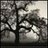 Whitewillow