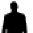 Guru VII