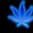 High_Life