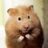 DaveTheHamster