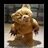 Bearitude