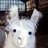 Sneaky llama