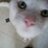 Nulien