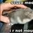 Mouserug