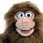 GamesGibbon