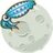 moonsquid