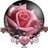 Rosey06