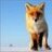 WFox