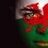 DdraigGoch